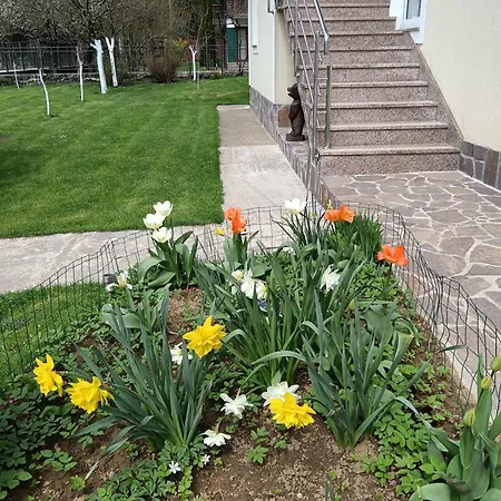 Apartment Drago Kremenjas Delnice