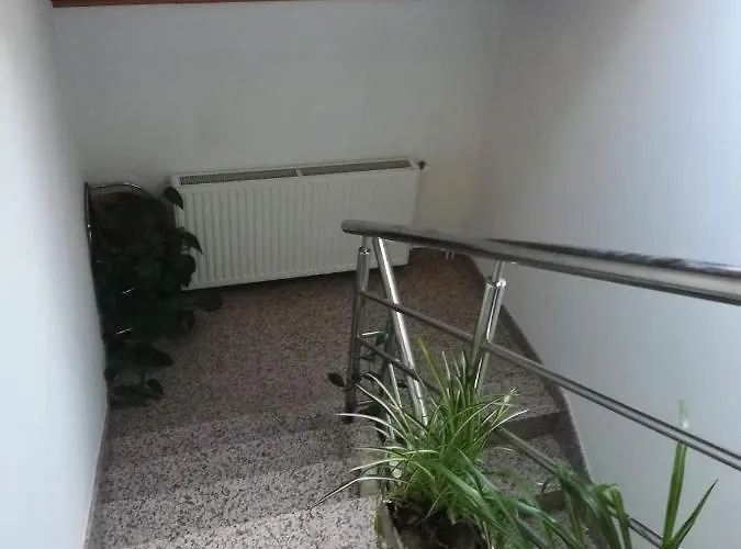 Drago Kremenjas Delnice