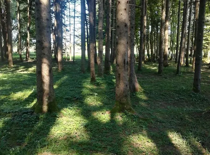 Drago Kremenjas Apartman *