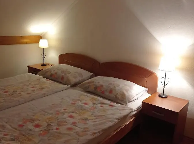 Apartman Drago Kremenjas *