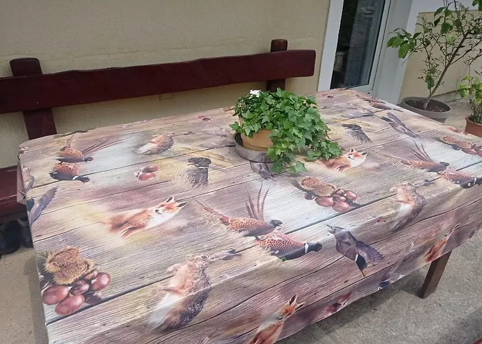 Drago Kremenjas Apartman Delnice