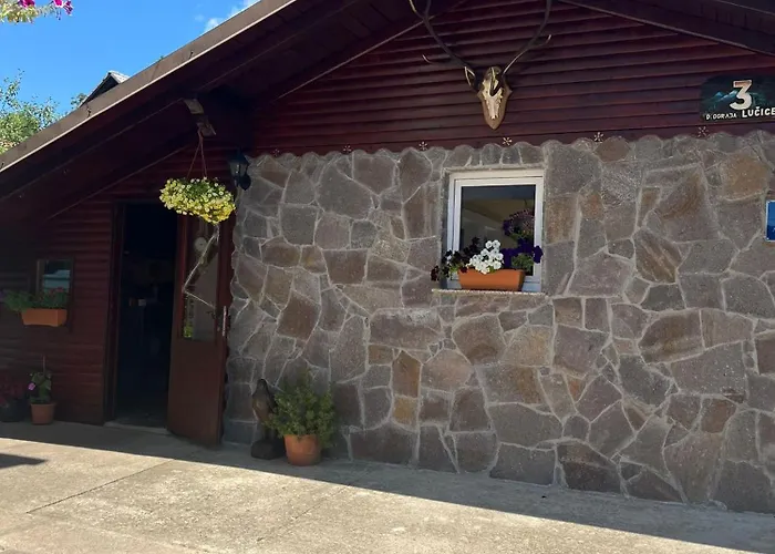 Drago Kremenjas * Delnice