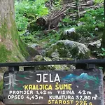 Апартаменты Drago Kremenjas Делнице