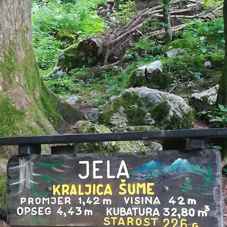 Apartament Drago Kremenjas Delnice