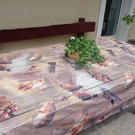 Drago Kremenjas Apartment Delnice