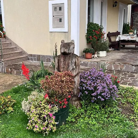 Apartment Drago Kremenjas Delnice