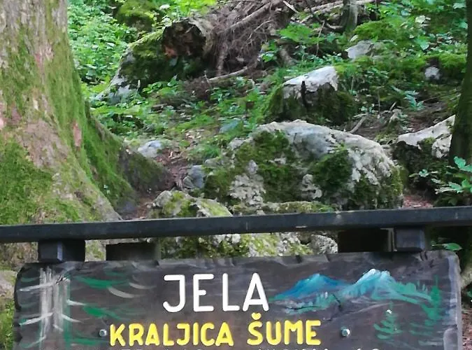 Διαμέρισμα Drago Kremenjas Delnice