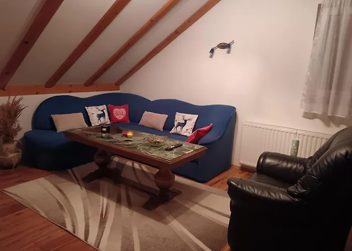 Drago Kremenjas Delnice